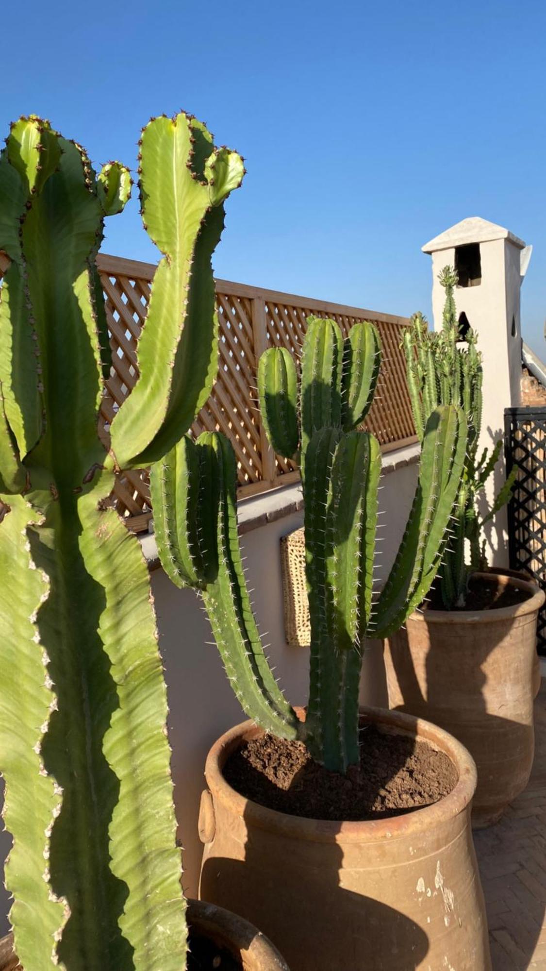 מרקש Riad Gasaembre Touareg מראה חיצוני תמונה